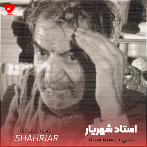دانلود اهنگ بلبلی در سینه مینالد هنوزم کاین چمن استاد شهریار